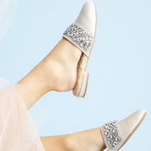 Birdies "The Songbird" slides in snow crystal